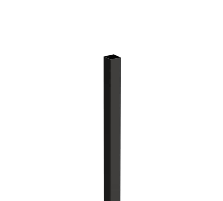 PROCAM99006306 - 5nnFHJ1vt7bQBrFByDB93DjU.jpg