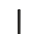 PROCAM99006306 - 5nnFHJ1vt7bQBrFByDB93DjU.jpg