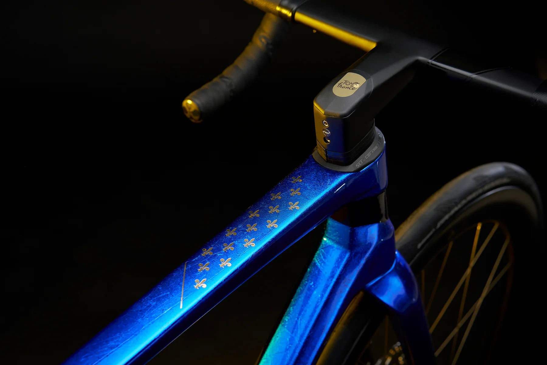 Colnago Fleur-de-Lys (5)
