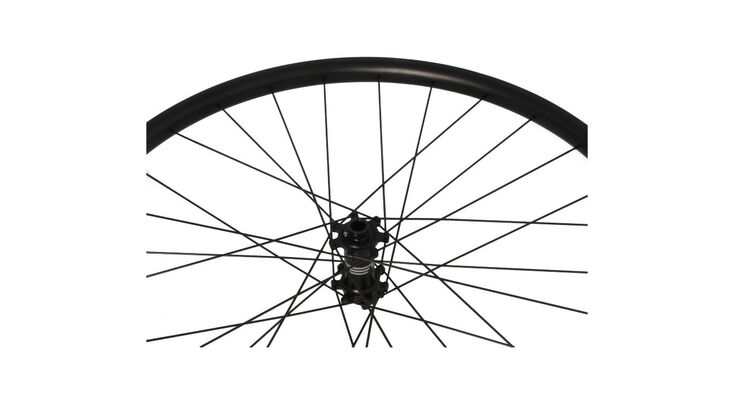 RUEDA DELANTERA MTB LITE 29 (2)