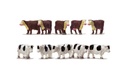 vacas (1)
