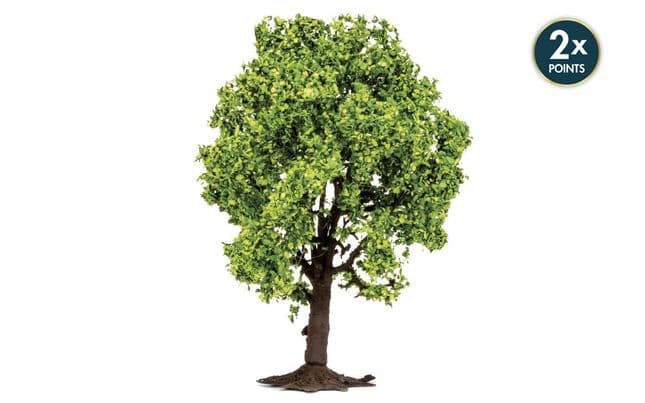 Árbol frutal (1)