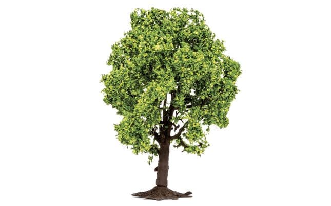 Árbol frutal (2)