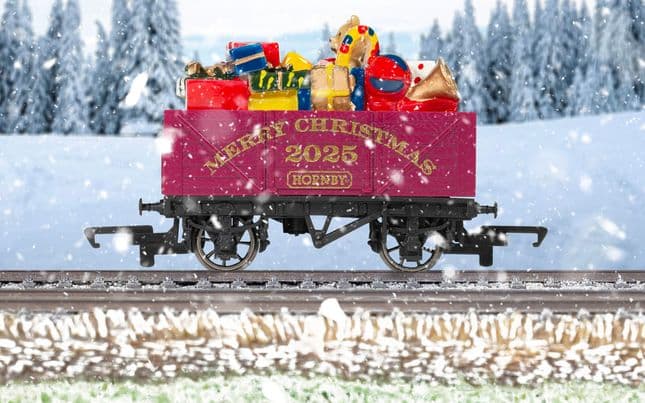 Carro di Natale 2025 (4)