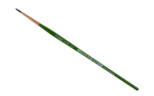 Coloro Brush - (Size: 2) (1)