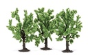 Fruit Trees (1)