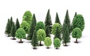 Hobby' Mixed (Deciduous and Fir) Trees (1)