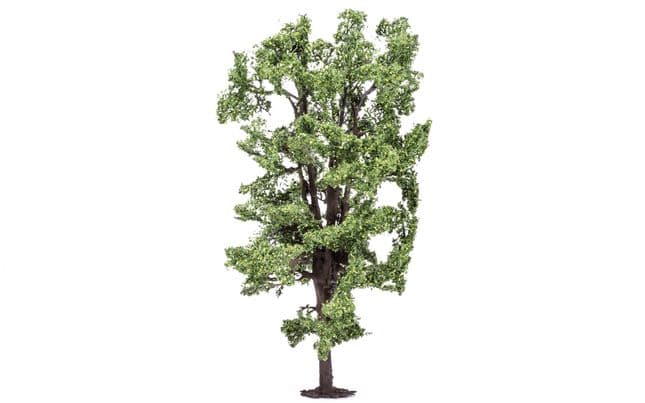 Horse-Chestnut Tree (1)