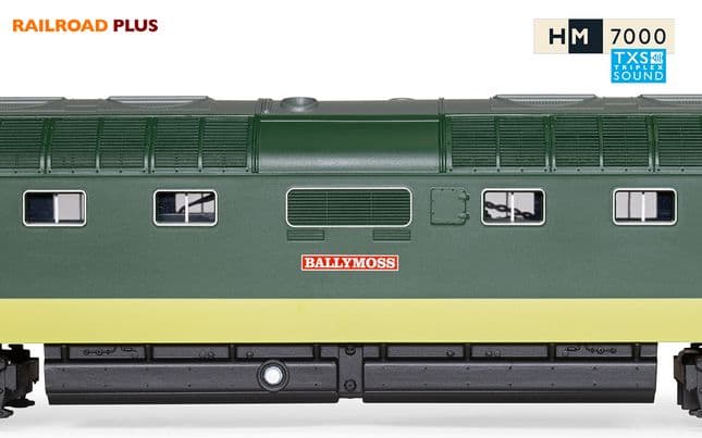 BR, Class 55, Deltic, Co-Co, D9018 ‘Ballymoss’- Era 5 (5)