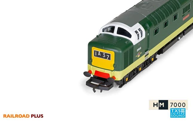 BR, Class 55, Deltic, Co-Co, D9018 ‘Ballymoss’- Era 5 (7)