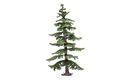 Large Nordic Fir Tree (1)