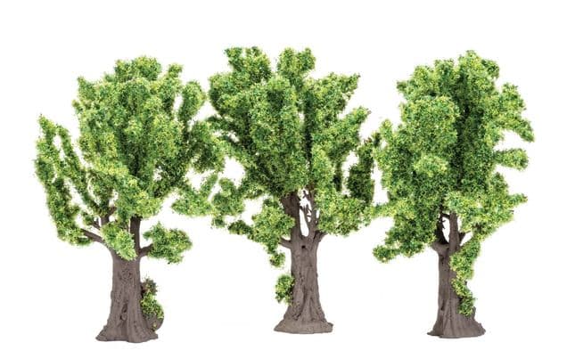 Maple Trees (2)