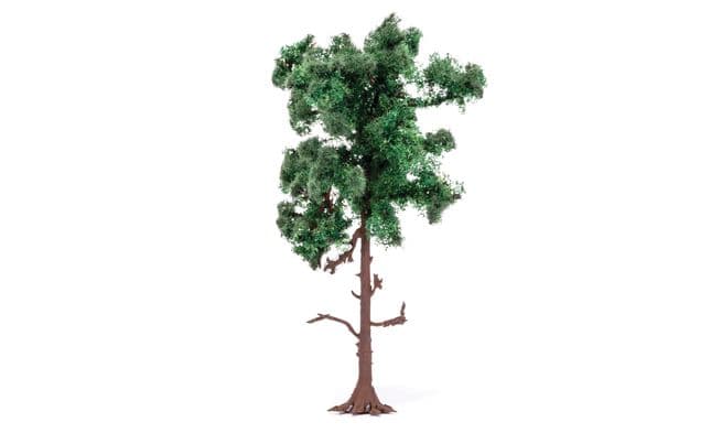 Medium Pine Tree (1)