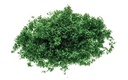 Flock – verde scuro (1)