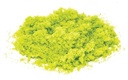 Flock – verde brillante (1)