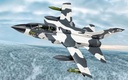 Panavia Tornado GR1A - ZA371/C - RAF No.II(AC) Sqn (3)