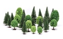 Alberi misti Hobby (latifoglie e abeti) (2)