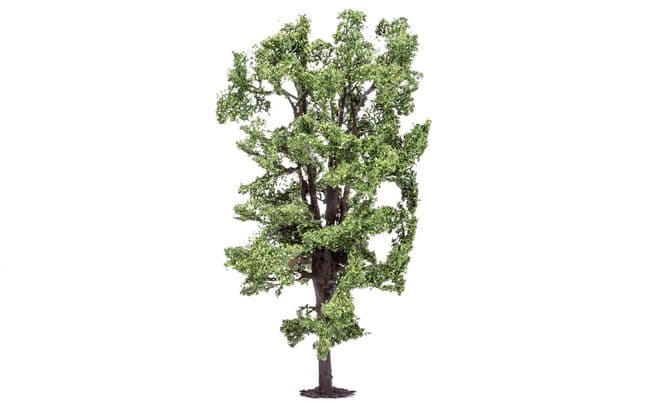Albero di ippocastano (2)