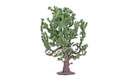 Oak Tree (2)
