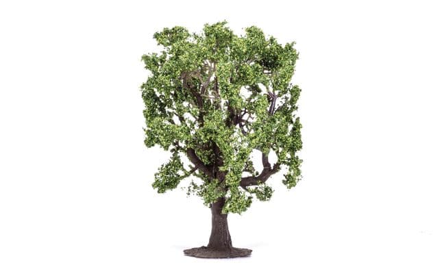 Oak Tree (1)