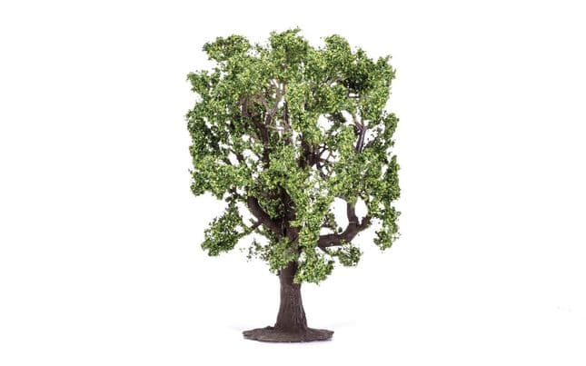 Oak Tree (2)
