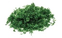 R7163 Flock – verde oscuro