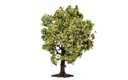 R7213 Apple Tree (with Fruit)