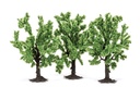 Fruit Trees