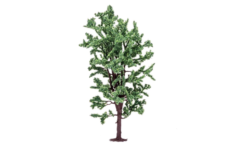 R7211 Horse Chestnut Tree