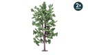 R7210 Lime Tree