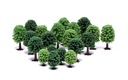 R7198 Alberi decidui per hobbisti