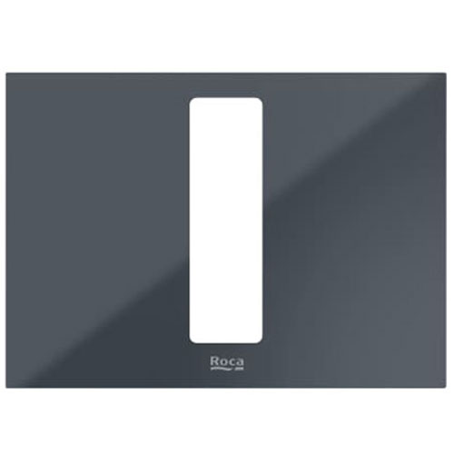 Panel Duplo S frontal para combinar con pulsadores PS4, 202x145x145 mm, cristal antracita, (A8905213AA)