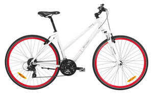 BEARTRACK JET PRO